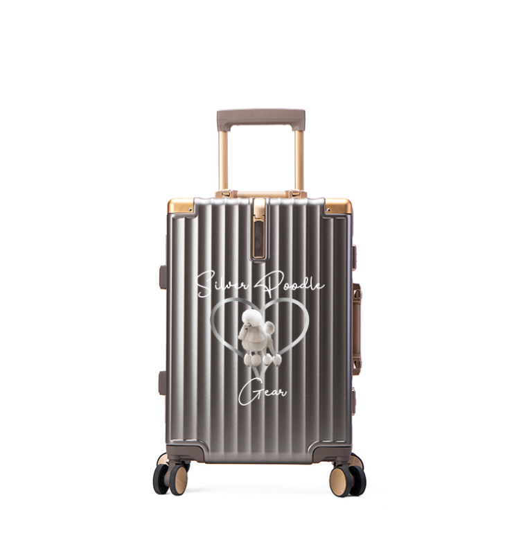 SPG Suitcase (4) Gris